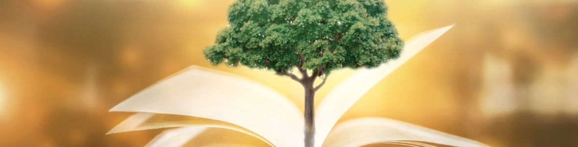 inner-banner-contact