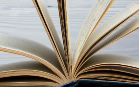 inner-banner-organization