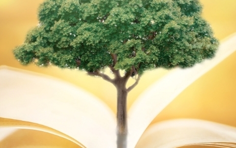 inner-banner-contact